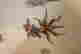 item-131822950=3