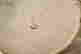 item-131822950=5