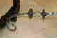 item-131823073=5