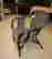item-131823086=2