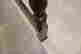 item-133103870=13
