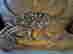 item-133104109=9