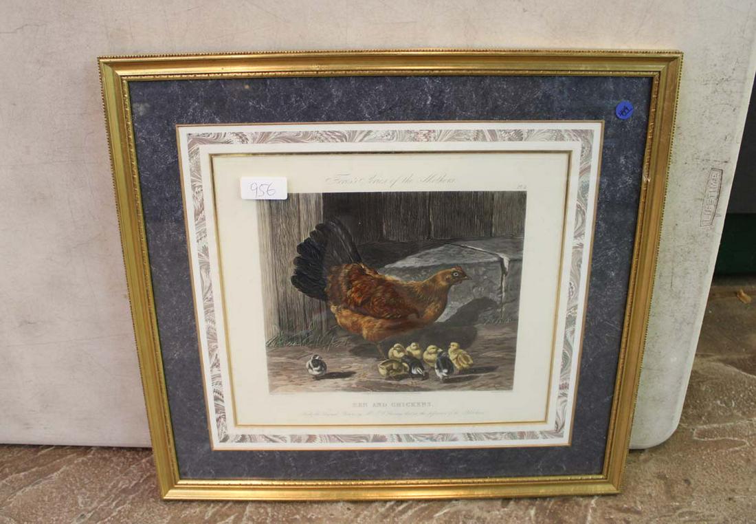 Engraved by J Harris Hen and Chickens print: Engraved by J Harris of Hen and Chickens print in matted frame approx. 24" w x 22" h