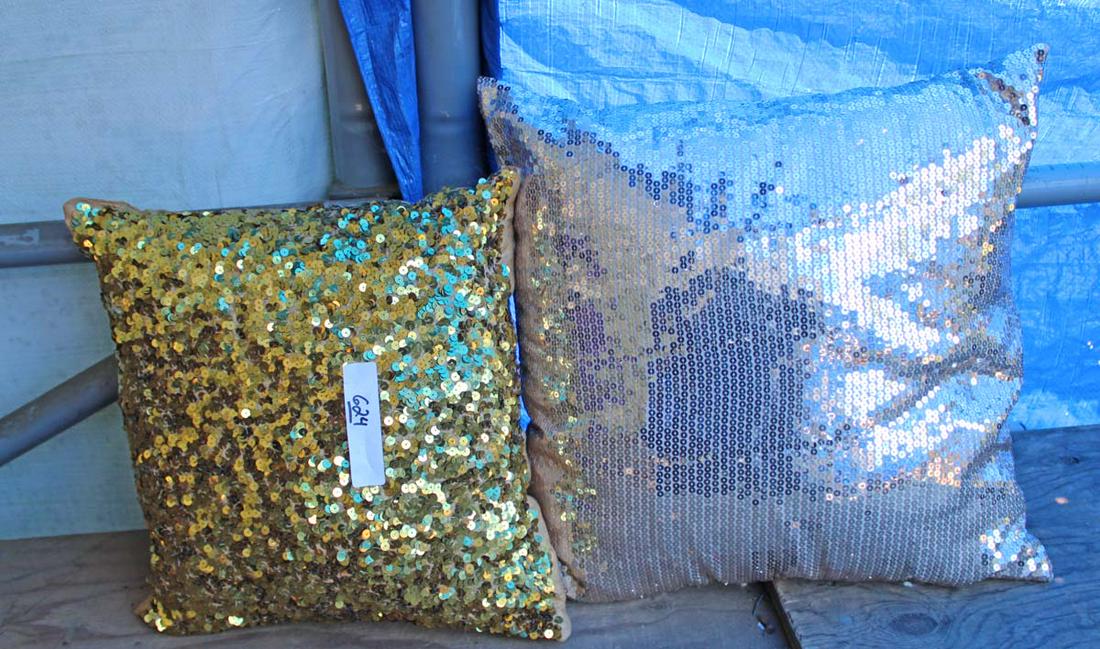 2 decorator pillows (1 of 2)