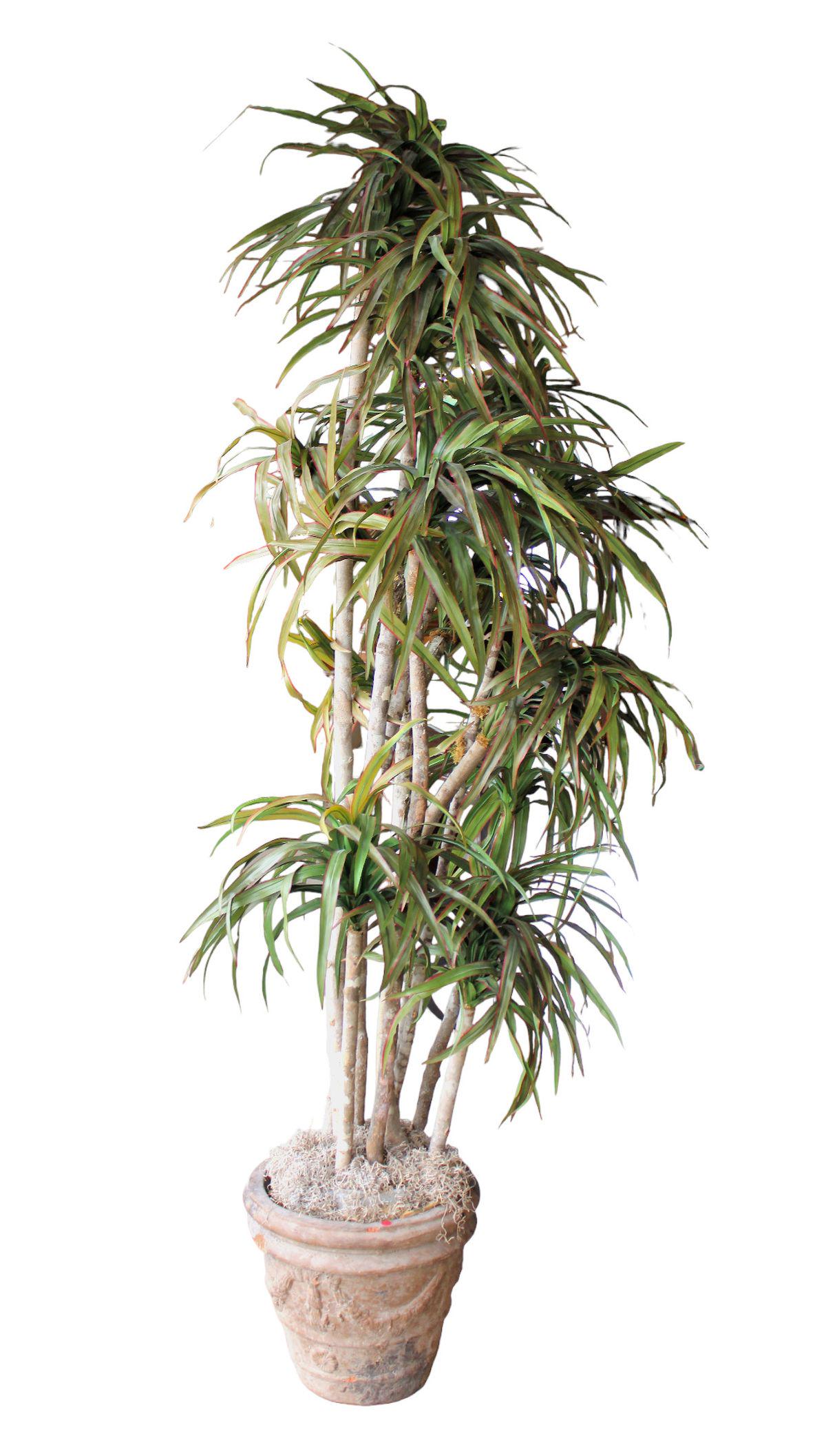 Large decorative artificial tree in a decorative terracotta clay pot  with some flakes seen, pot (1 of 4)