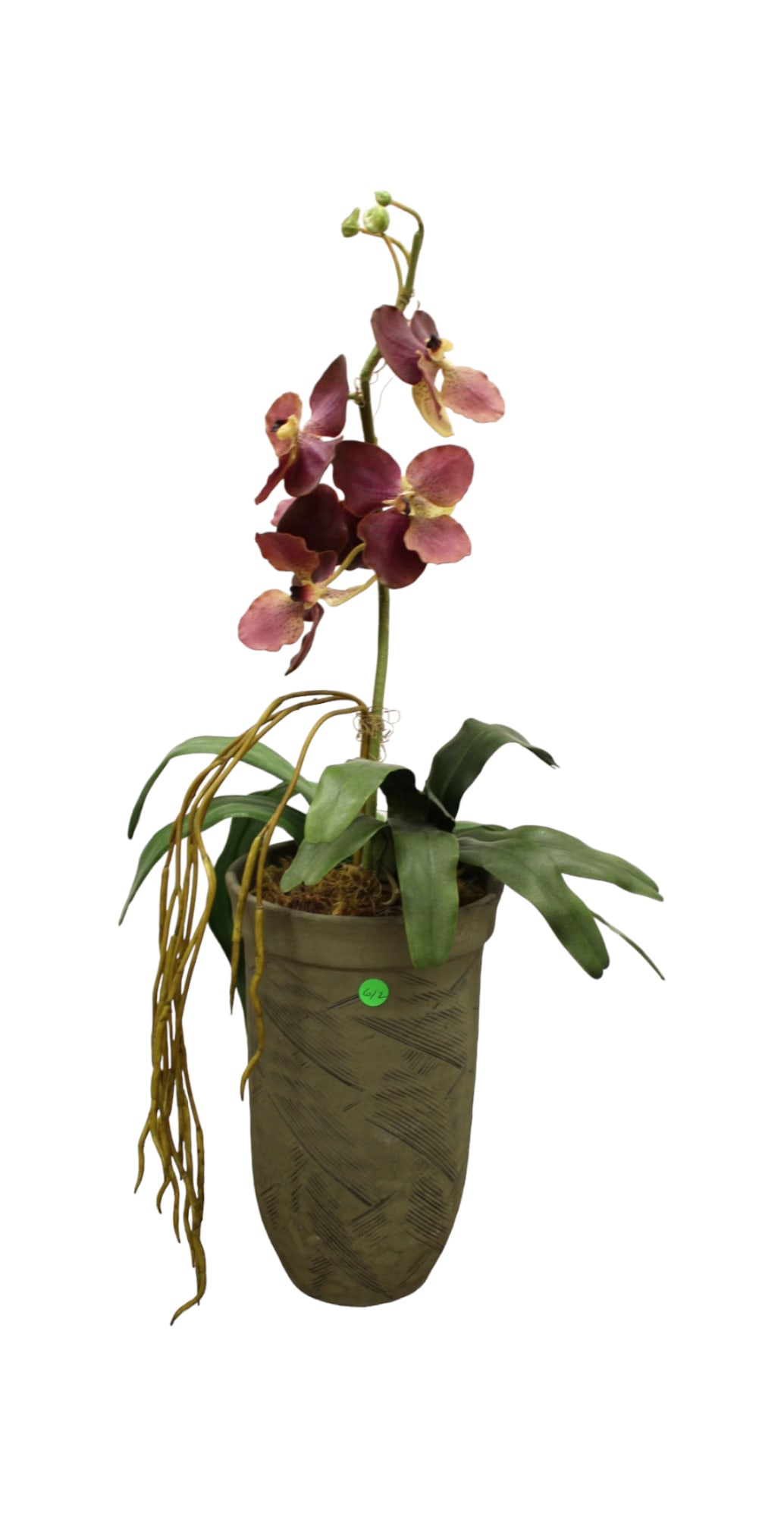 Decorative pot with faux orchid flower: Decorative pot with faux orchid flower, structurally sound and in good condition, 8" diameter x 12"h (30"h with flower)