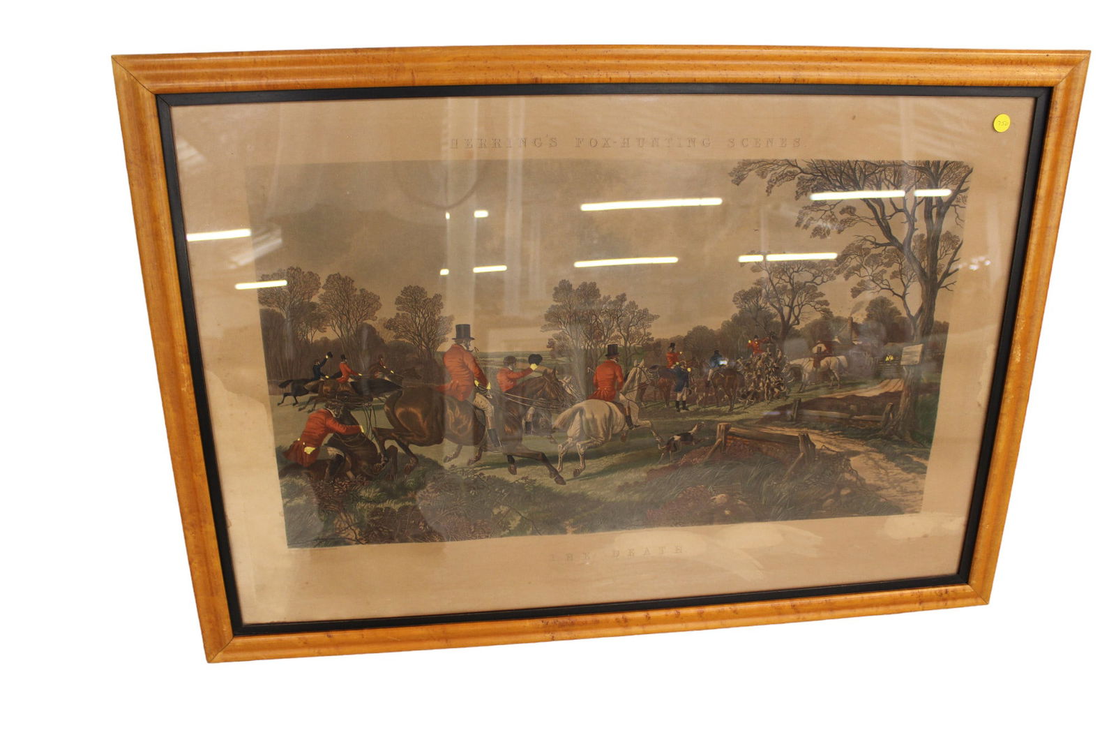 Antique Herring's Fox-Hunting Scenes The Death print in a contemporary maple frame in good (1 of 4)