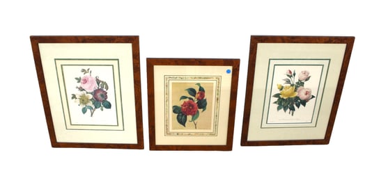 Group 3 P.J. Redoute floral prints in nice burl walnut frames