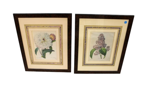 Pair P.J. Redoute floral prints in rosewood burl frames