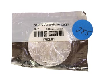 US $1 dollar silver American eagle uncirculated in plastic (coin)