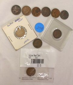 10 US Indian head pennies, various dates and conditions (coins)