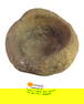 Navajo Matate used from grinding grains and plants, late 1800's. 12"w x 9"l x 8 1/2"h
