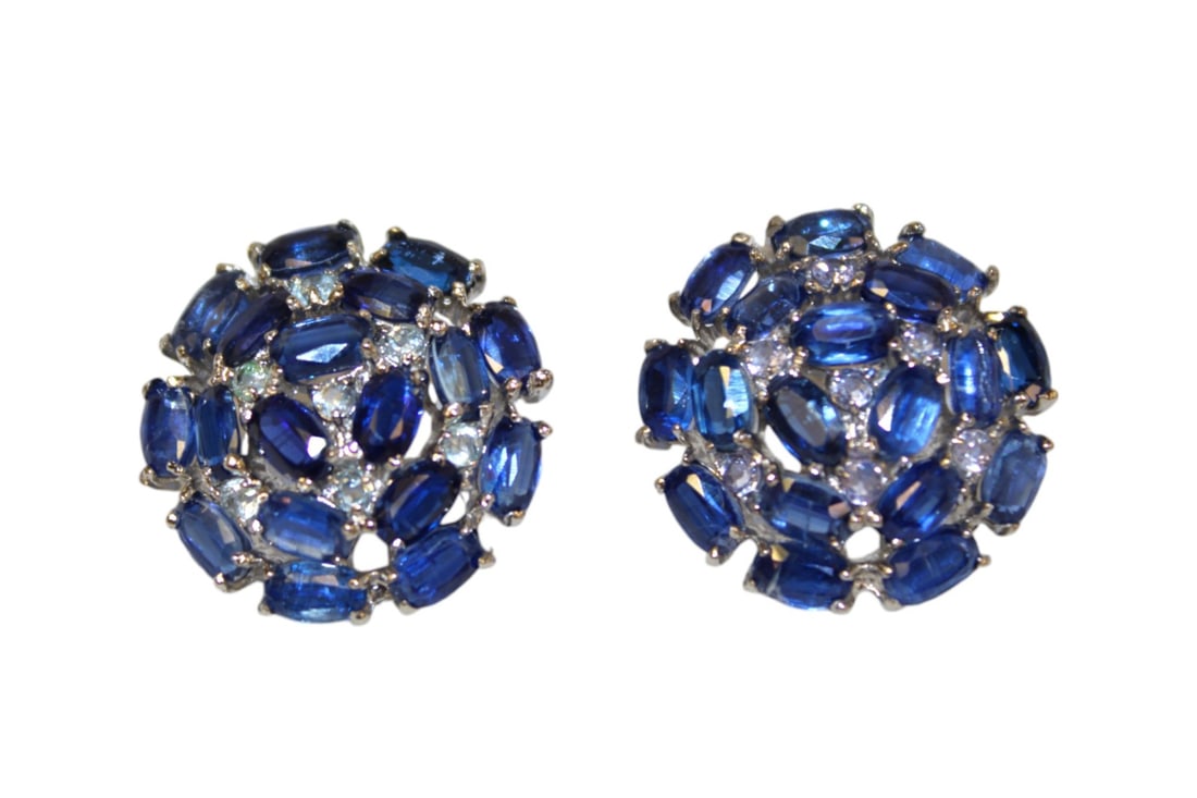 Natural kyanite & tanzanite 7/8" round earrings 14k/SS (1 of 4)