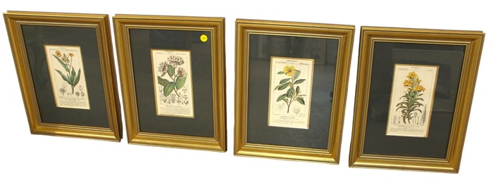 Set of 4 Botanical decorative prints in gold wood frames