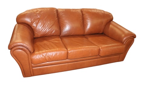 Napoli leather 3 cushion sofa in a rust color