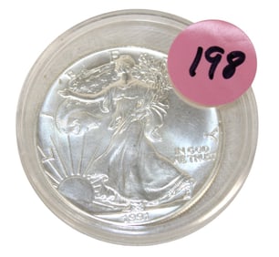 US Walking Liberty 1991 Silver Dolla