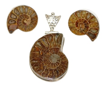 Genuine ammonized fossil pendant and earrings