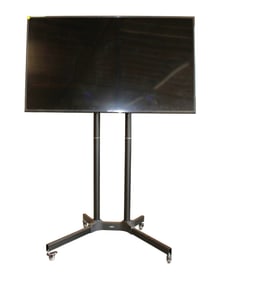 Samsung 55" working television on adj. stand