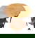 item-209899271=1