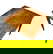 item-209899399=1