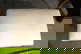 item-209899444=11