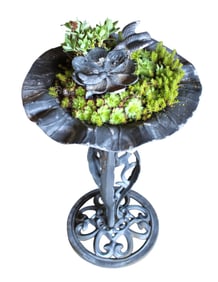 Vintage cast aluminum bird bath with hens & chicks