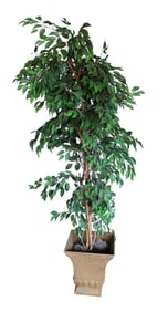 90"h faux Ficus weeping fig plant in square brown planter