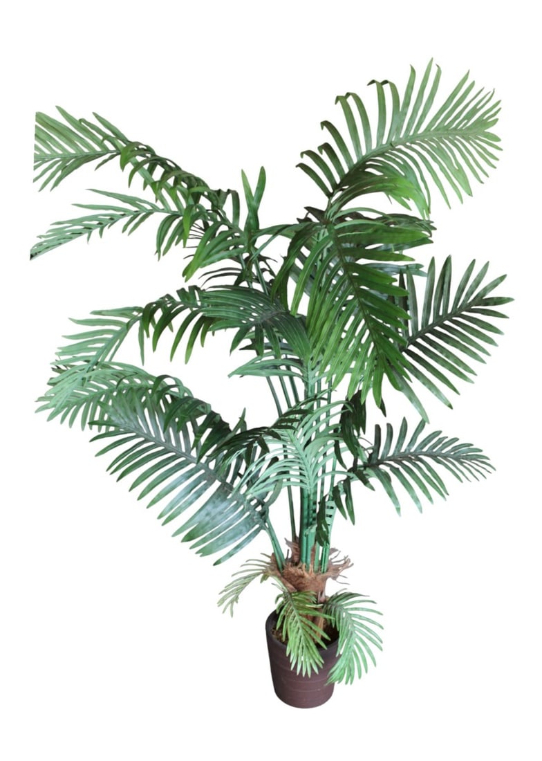 68"h faux gold can palm tree in brown composition planter: 68"h faux gold can palm tree in brown composition planter. Pot 10"h x 10" diameter