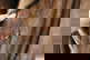item-209899581=12