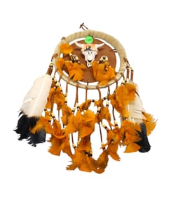 American Indian style dream catcher