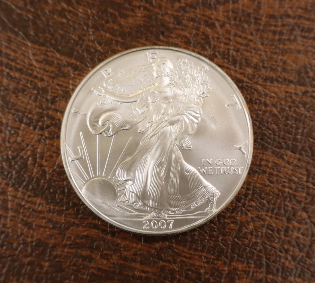 US Eagle Silver Dollar 2007 - 3