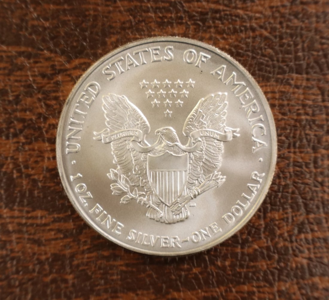 US Eagle Silver Dollar 2007 - 2