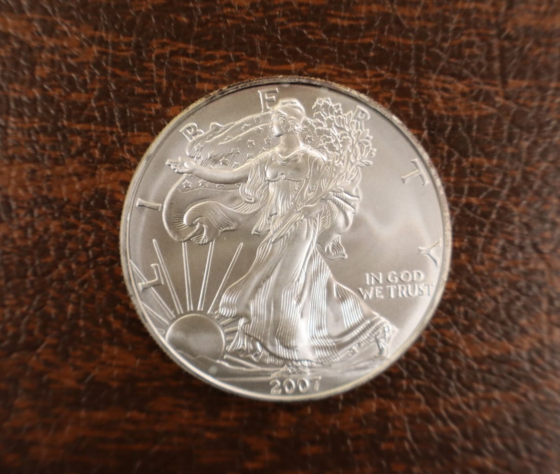 US Eagle Silver Dollar 2007 - 3