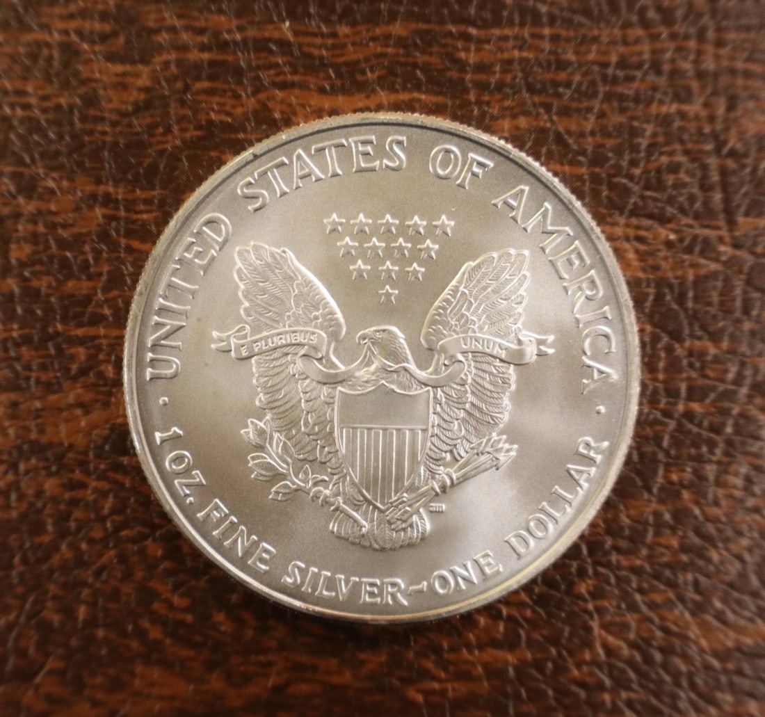 US Eagle Silver Dollar 2007 - 2