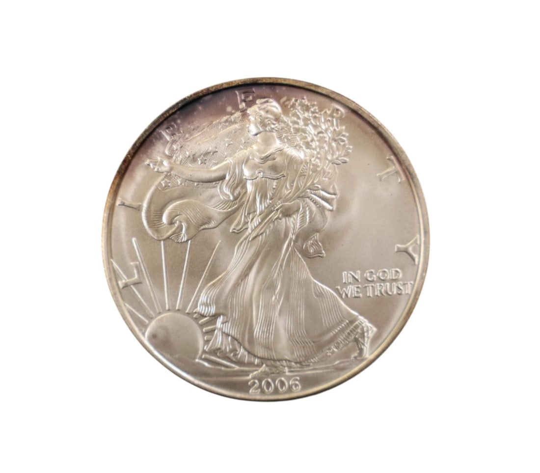 US Eagle Silver Dollar 2006 (1 of 3)