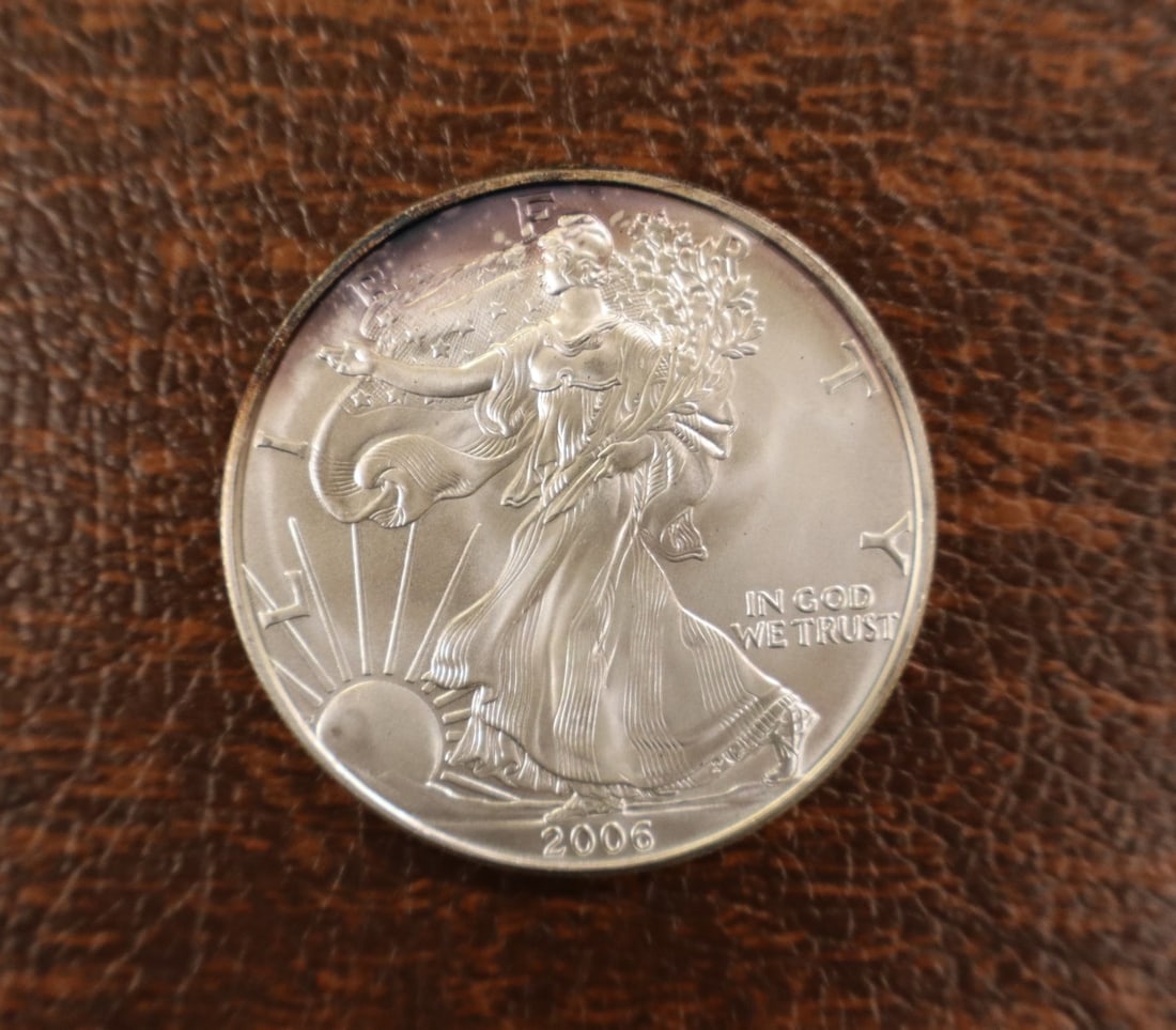 US Eagle Silver Dollar 2006 - 3