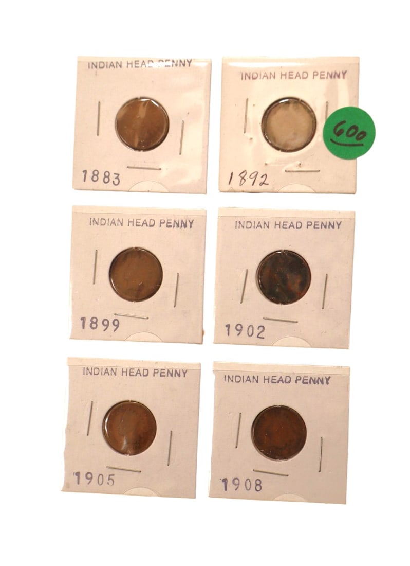 6 US Indian Head Pennies: 1883, 1892, 1899, 1902, 1905, 1908 (1 of 3)