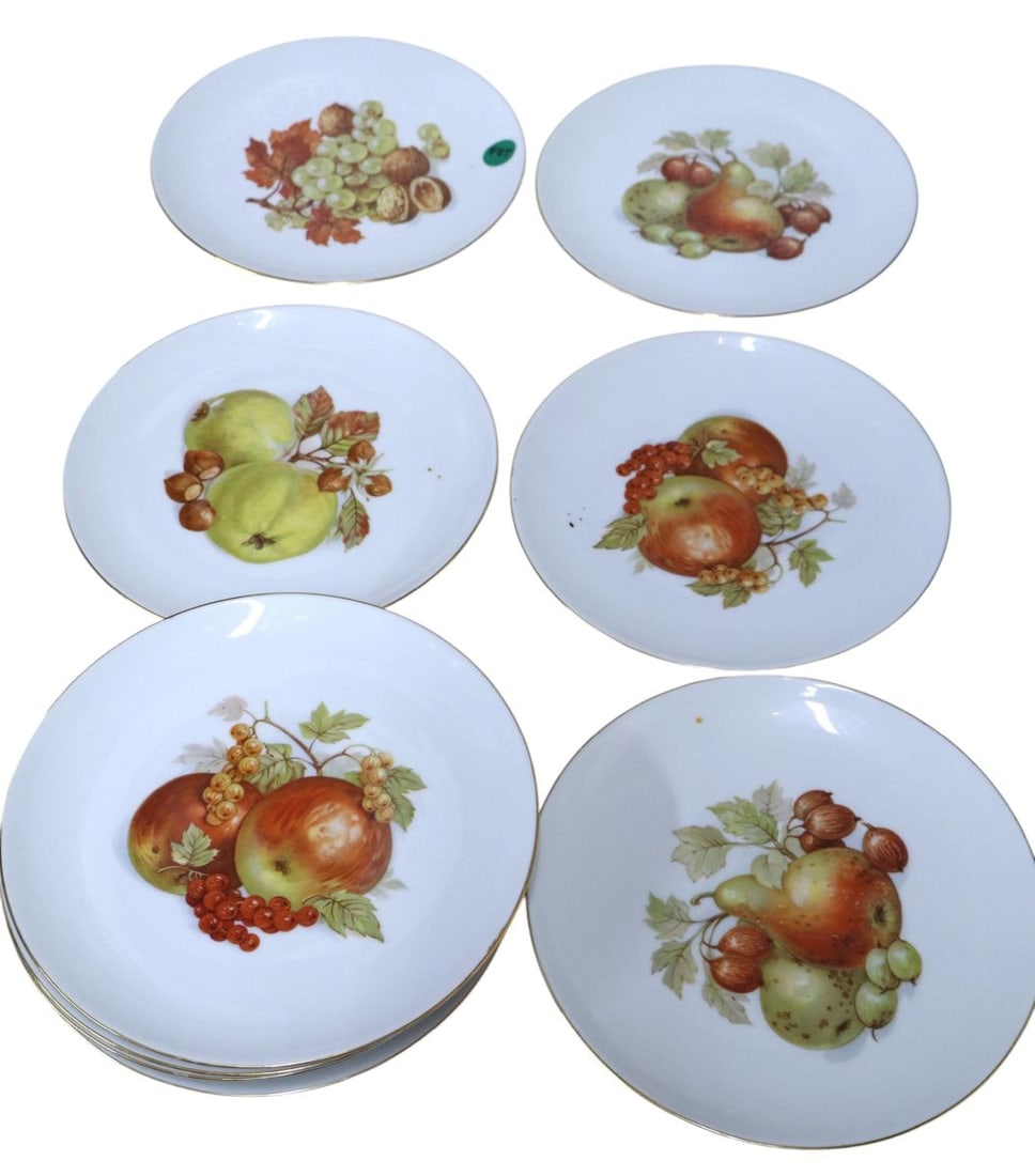 10 pcs Roslau Bavaria German 8" fruit plates: 10 pieces of Roslau Bavaria German 8" fruit plates no noticeable issues.