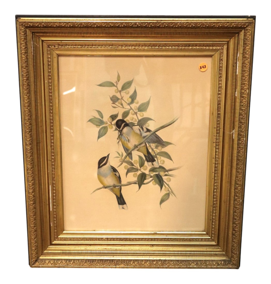Antique frame Audubon print framed (1 of 6)