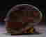 item-99603246=10