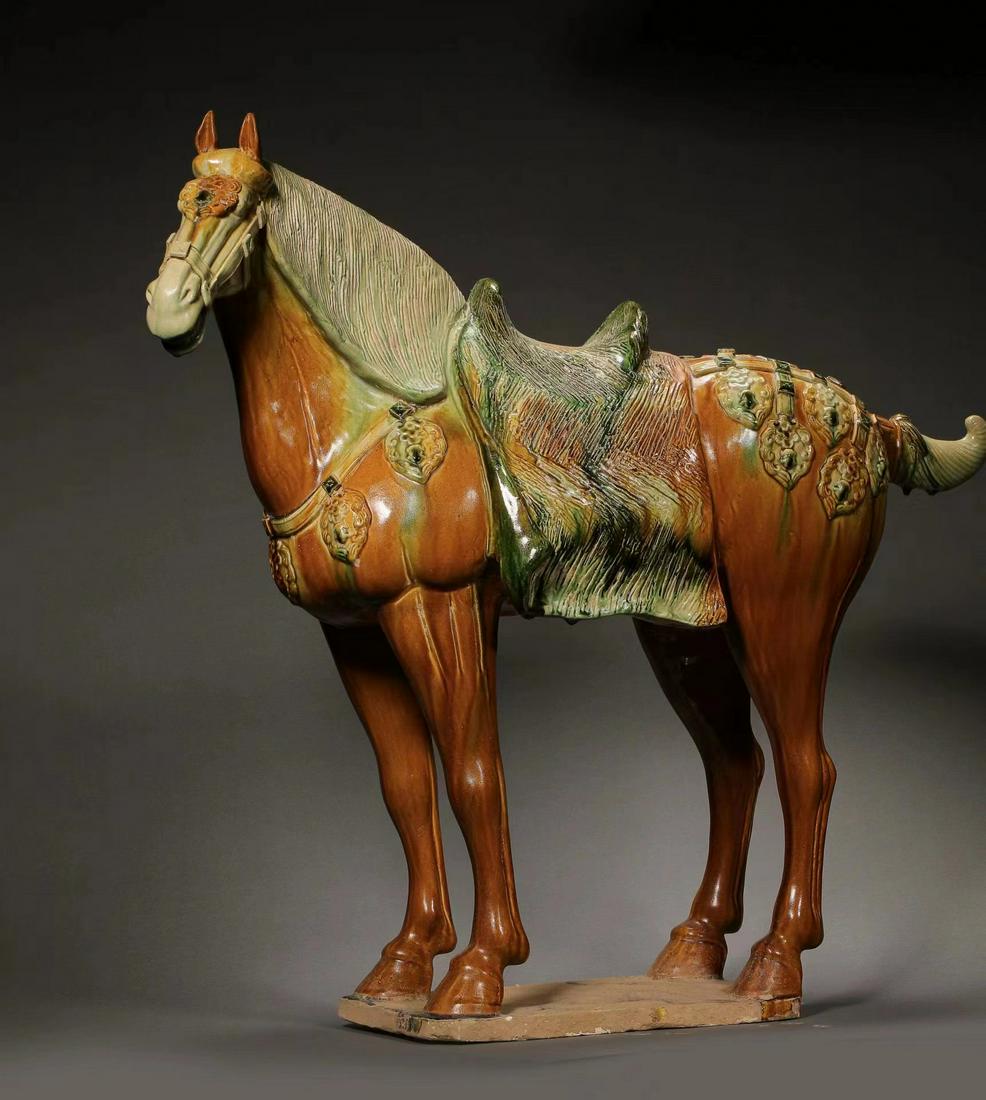 CHINESE TRI-COLORED HORSE, TANG DYNASTY (1 of 15)