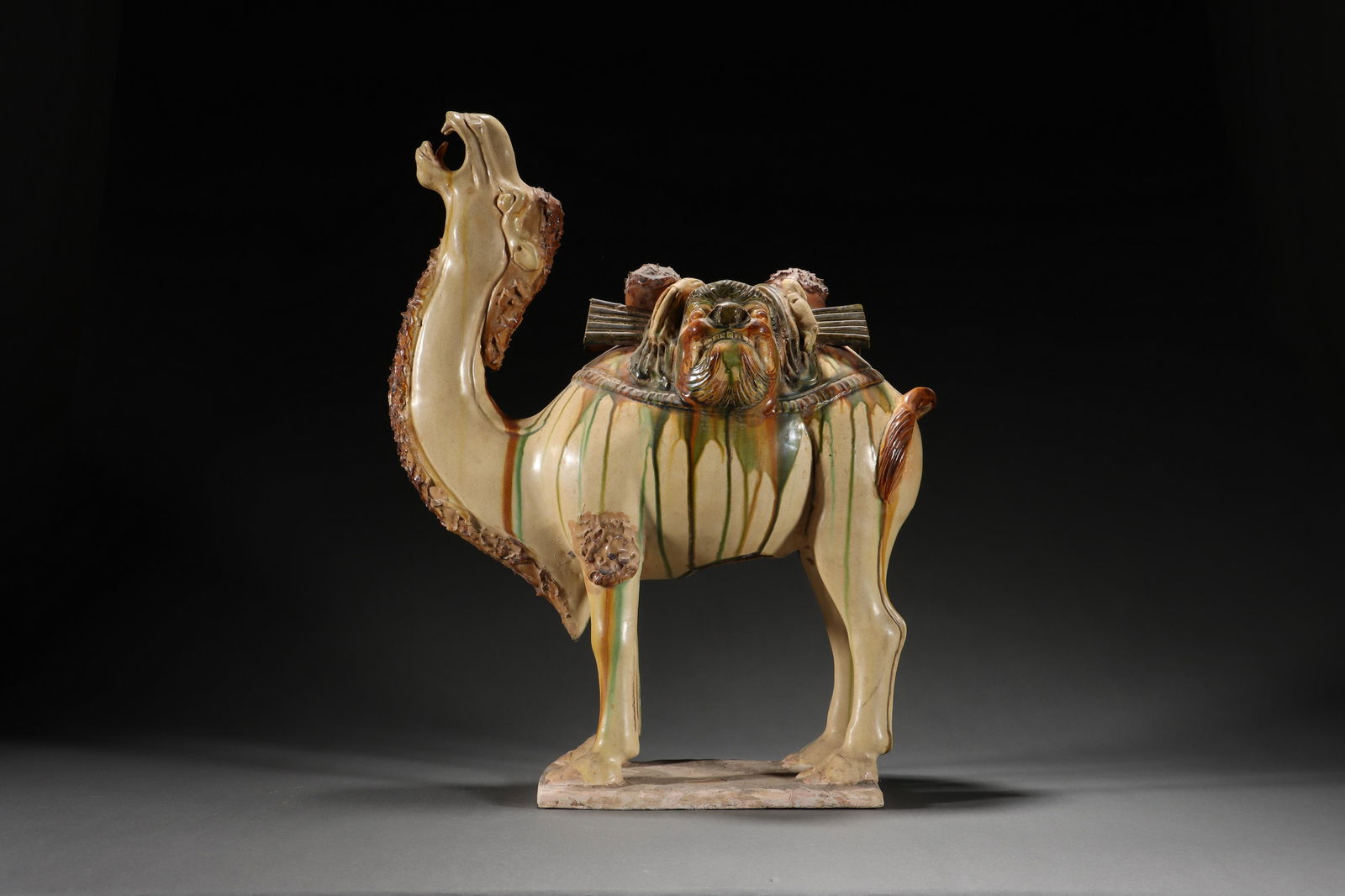 TRICOLOR CAMEL, TANG DYNASTY (1 of 14)