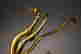 item-130910454=12