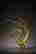 item-130910454=4