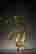 item-130910454=5