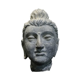 Gandhara stone Buddha head, 2nd century AD