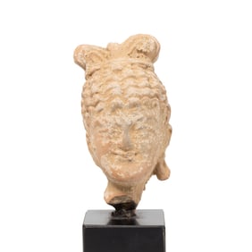 Indo Greek Gandhara Art Terracotta Head