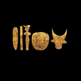 A set of pure gold ornaments from the Han Dynasty