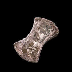Pure silver ingots from the Jin Dynasty in China