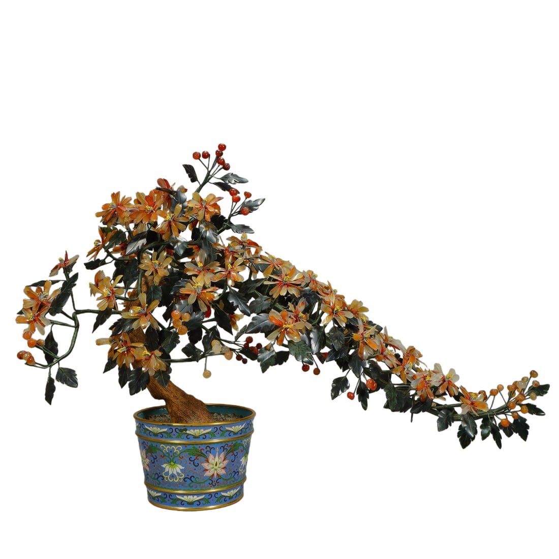 Qingjing Tailan Jade Bonsai Kalanchoe (1 of 14)